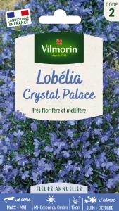Lobélia Crystal Palace
